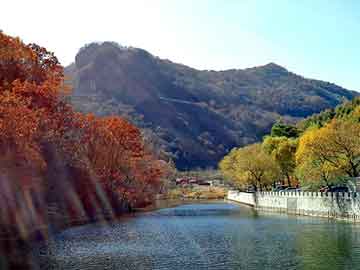 澳门天天开奖免费资料，都市之龙傲天下